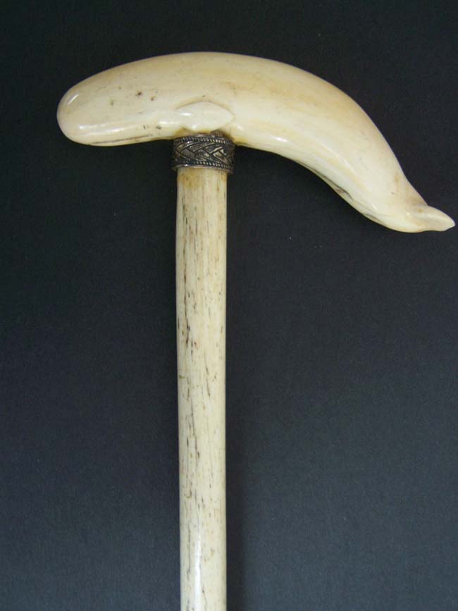 A 19th century ANTIQUE Whalebone Walking Stick with Whale Ivory Handle in the form of a Sperm Whale — image 2